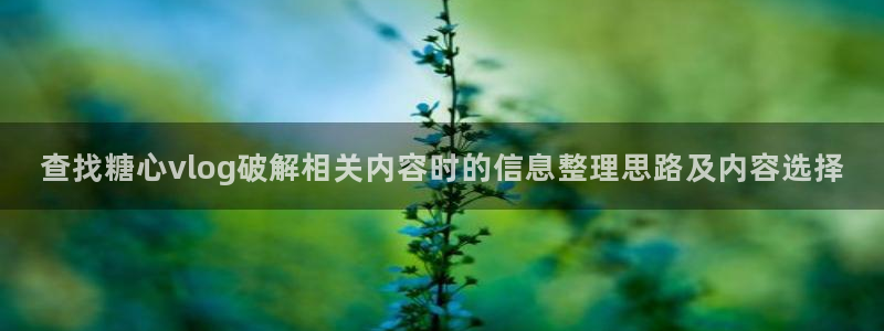 糖心精品:查找糖心vlog破解相关内容时的信息整理思路及内容选择