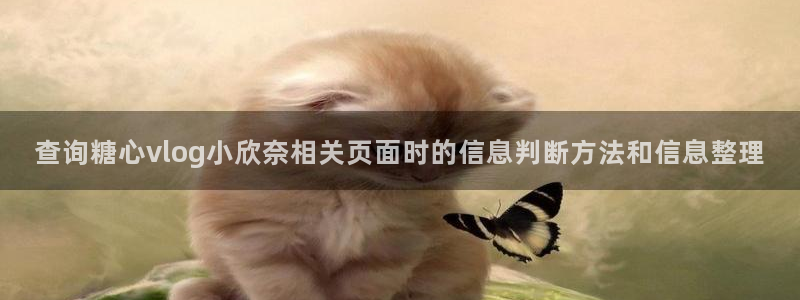 心糖vlog官网：查询糖心vlog小欣奈相关页面时的信息判断方法和信息整理